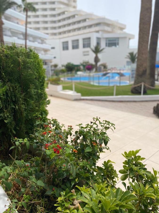 Primera Linea De Mar ! Fantastico Appartement
